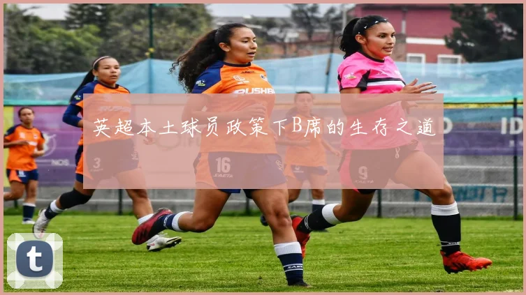 英超本土球员政策下B席的生存之道