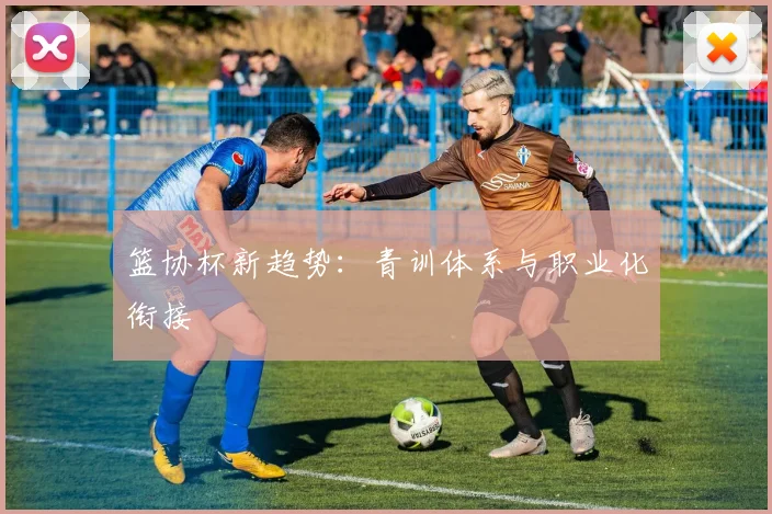 篮协杯新趋势：青训体系与职业化衔接