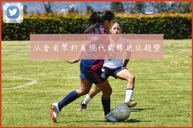 从舍甫琴科看现代前锋进化趋势